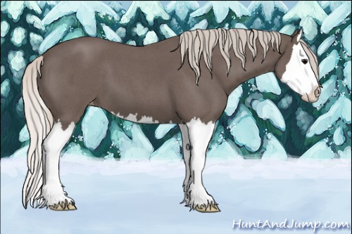 Horse Color:Silver Blue Roan Splash Varnish 