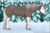 Horse Color:Silver Blue Roan Splash Varnish 