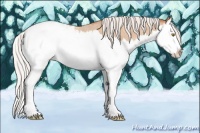 Horse Color:Silver Classic Champagne Roan Splash Appaloosa