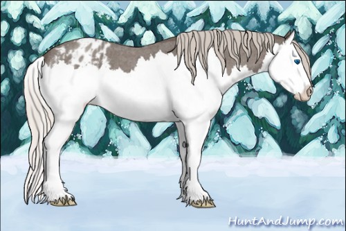 Horse Color:Silver Blue Roan Splash Varnish