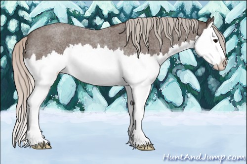 Horse Color:Silver Blue Roan Splash 