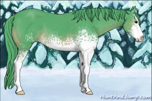 Horse Color:Watercolor White Spotted Chocolate Brown Sabino 