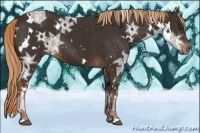 Horse Color:White Spotted Liver Chestnut Ice 