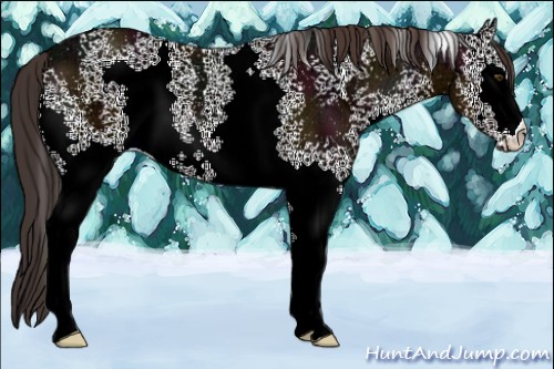 Horse Color:White Spotted Midnight Brown Ice 