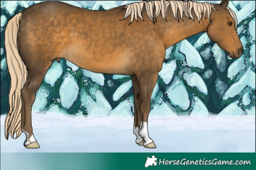 Horse Color:Chocolate Palomino Mushroom 