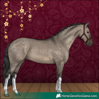 Horse Color:White Spotted Brown Dun 