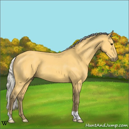 Horse Color:Silver Buckskin 