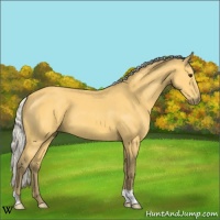 Horse Color:Silver Buckskin 