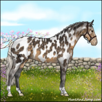 Horse Color:Silver Smoky Black Appaloosa