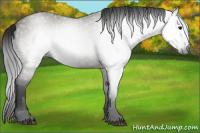 Horse Color:Gray Grullo 