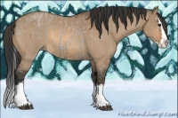 Horse Color:Smoky Grullo Roan Splash  and Bay Dun Sabino Splash 