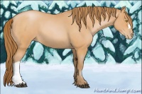 Horse Color:Bay Roan Pearl 