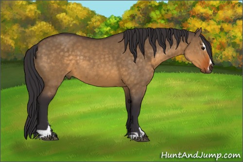 Horse Color:Buckskin Dun Sabino