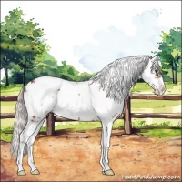 Horse Color:Silver Bay Sabino Rabicano 