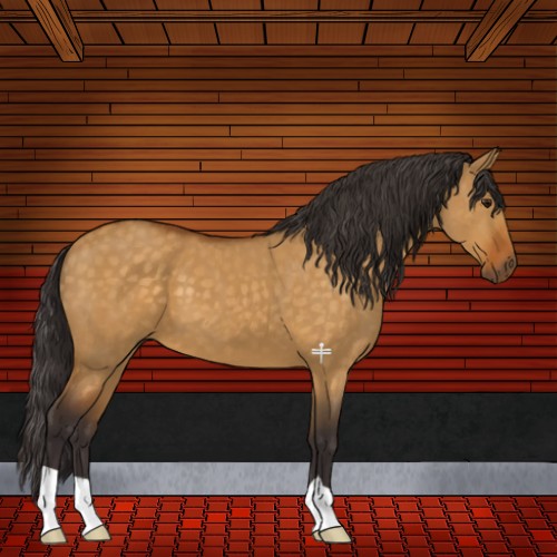 Horse Color:Buckskin Dun