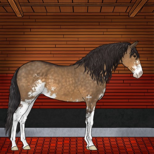 Horse Color:Buckskin Dun Sabino 