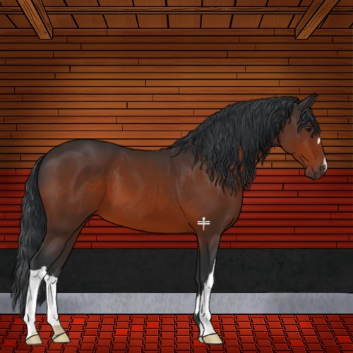 Horse Color:Brown 
