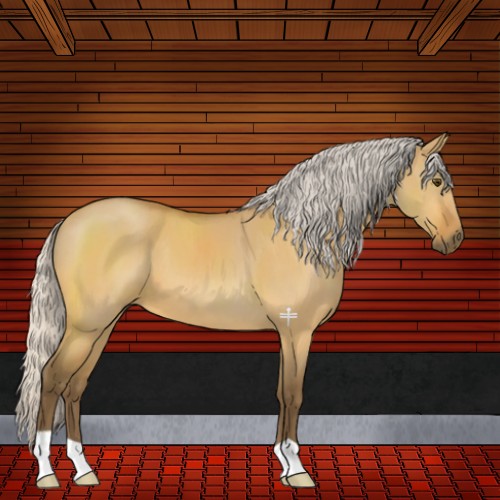 Horse Color:Silver Buckskin Dun 