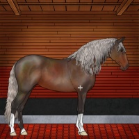 Horse Color:Silver Brown 