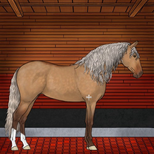 Horse Color:Silver Buckskin Dun 