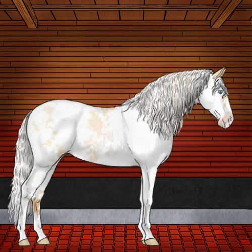 Horse Color:Silver Buckskin Pearl Dun Sabino 