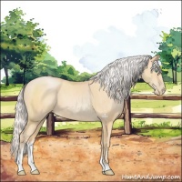 Horse Color:Silver Buckskin Pearl Sabino 