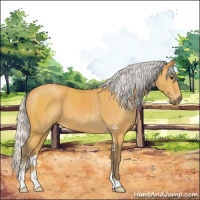 Horse Color:Silver Buckskin Sabino 