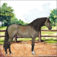 Horse Color:Smoky Grullo 