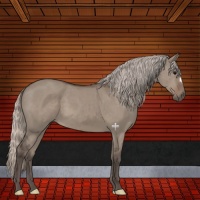 Horse Color:Silver Grullo 