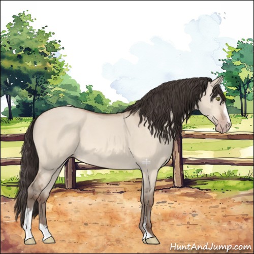 Horse Color:Amber Champagne Dun Sabino