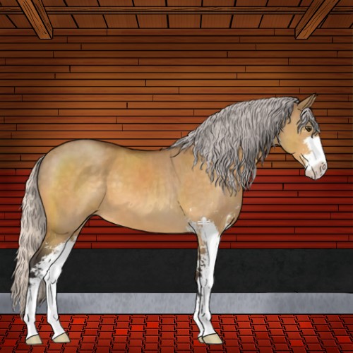 Horse Color:Silver Buckskin Dun Sabino 
