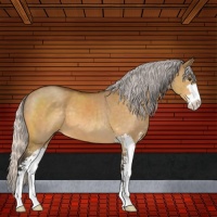 Horse Color:Silver Buckskin Dun Sabino 