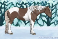 Horse Color:Silver Black Tobiano 