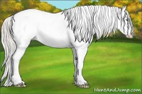 Horse Color:White Spotted Silver Classic Champagne Dun Tobiano Appaloosa 