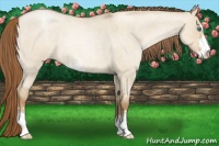 Horse Color:Smoky Grullo Roan Pearl Sabino