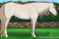 Horse Color:Smoky Creme Dun