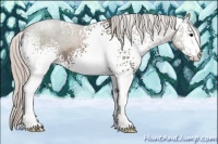 Horse Color:White Spotted Silver Blue Roan 