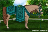Horse Color:Red Dun Sabino 