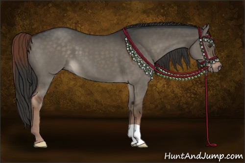 Horse Color:Liver Red Dun