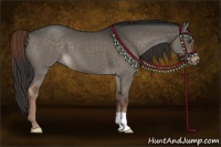 Horse Color:Liver Red Dun 