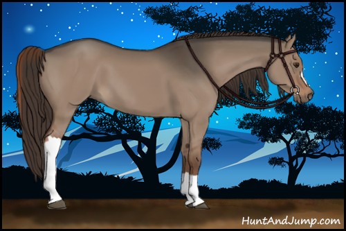 Horse Color:Liver Red Dun