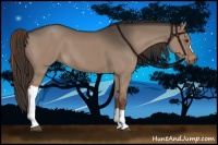 Horse Color:Liver Red Dun 
