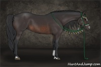 Horse Color:Brown Sabino