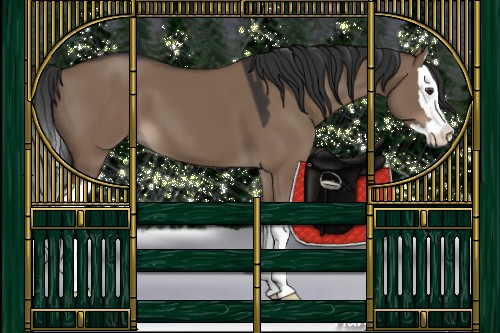 Horse Color:Liver Red Dun Sabino Splash 