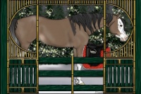 Horse Color:Liver Red Dun Sabino Splash 