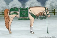 Horse Color:Gold Champagne Dun