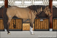 Horse Color:Buckskin Roan Dun