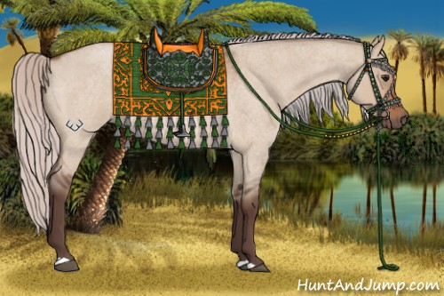 Horse Color:Silver Bay Roan Dun