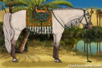 Horse Color:Silver Bay Roan Dun 