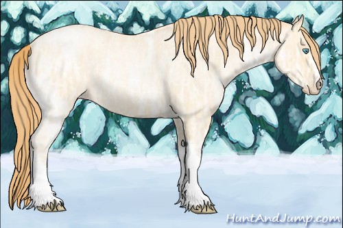 Horse Color:Buckskin Ice Roan Pearl 